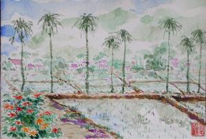 作品集，開新視窗